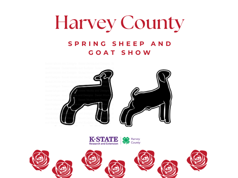 Harvey County Spring Sheep and Goat Show