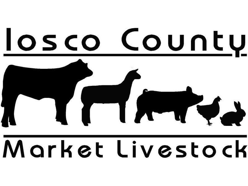 2024 Iosco County Fair